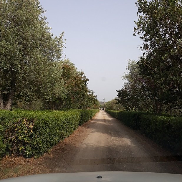 Villa con piscina Alghero