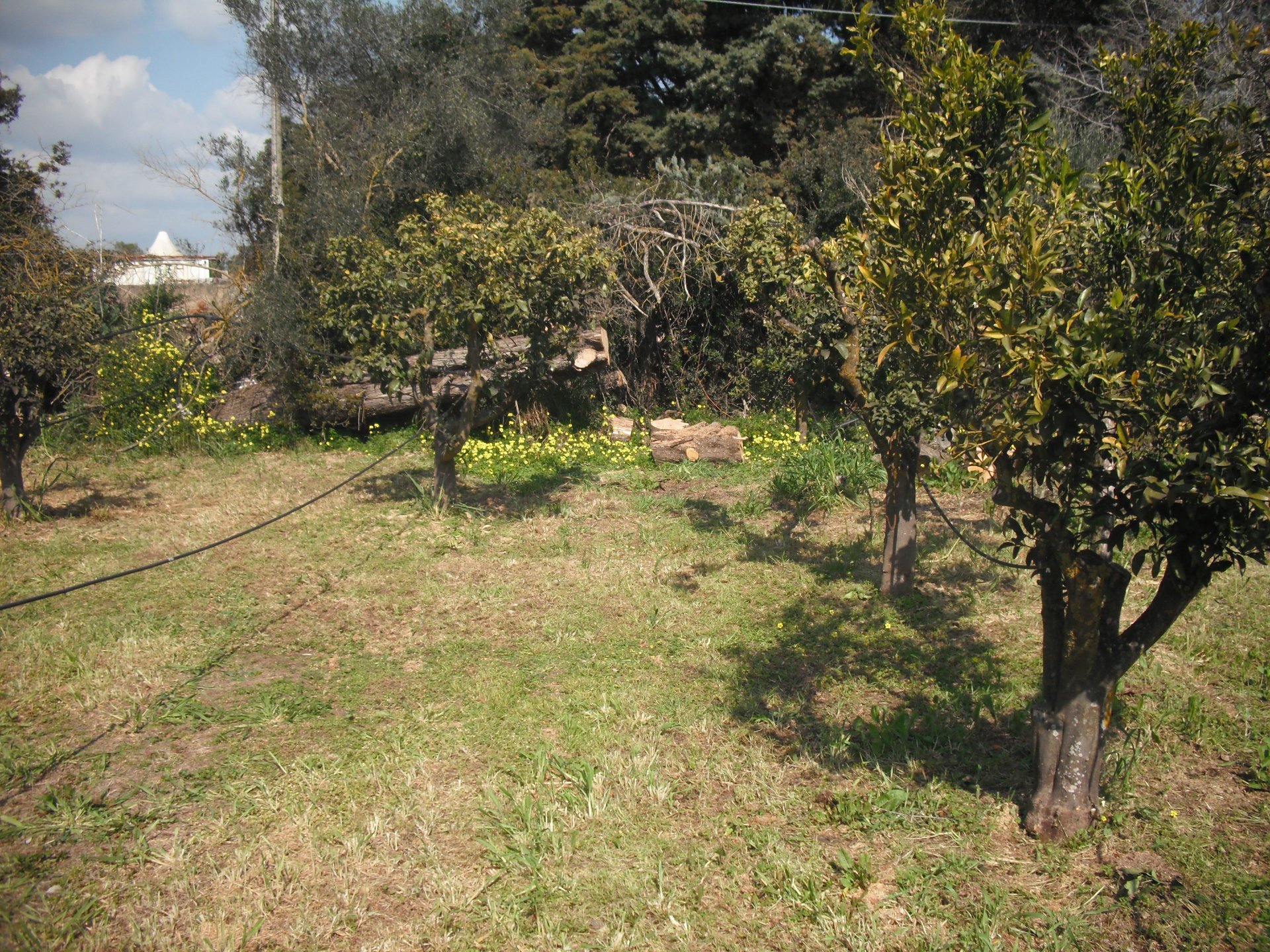 Villa con piscina Alghero 26