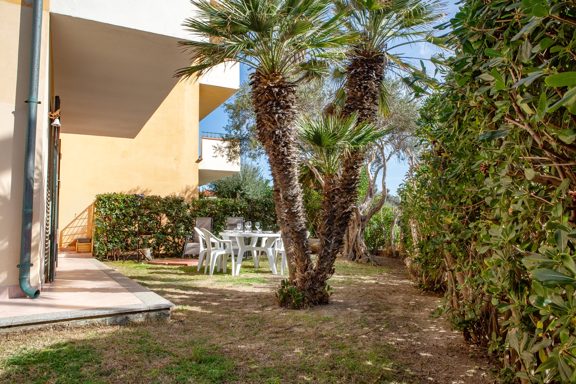Appartamento a Santa Teresa Gallura in Affitto con piscina 2