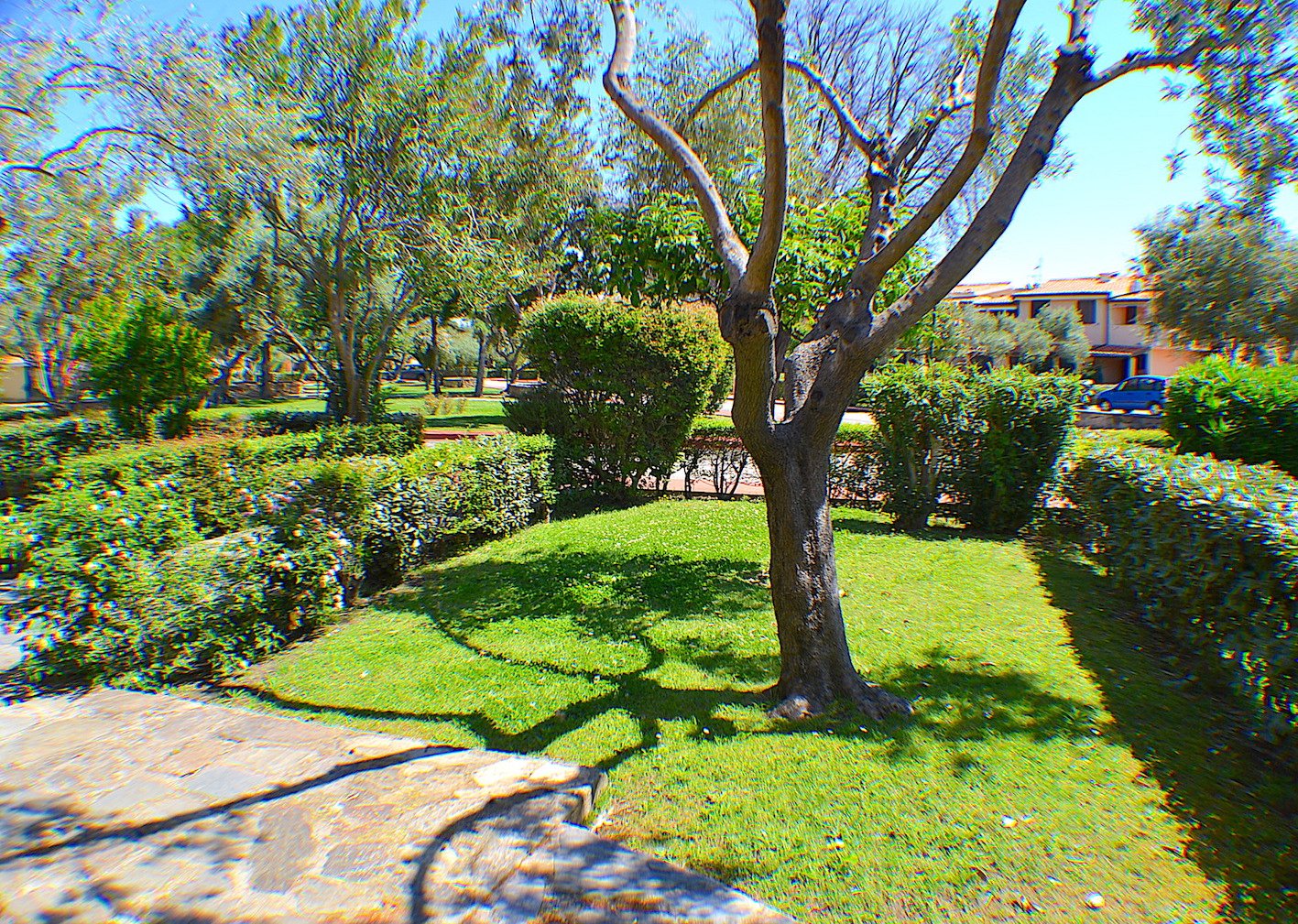 Appartamento a San Teodoro in Vacanza con giardino 4