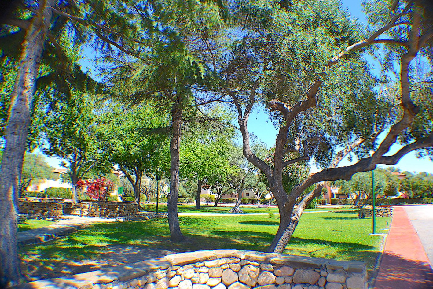 Appartamento a San Teodoro in Vacanza con giardino 6