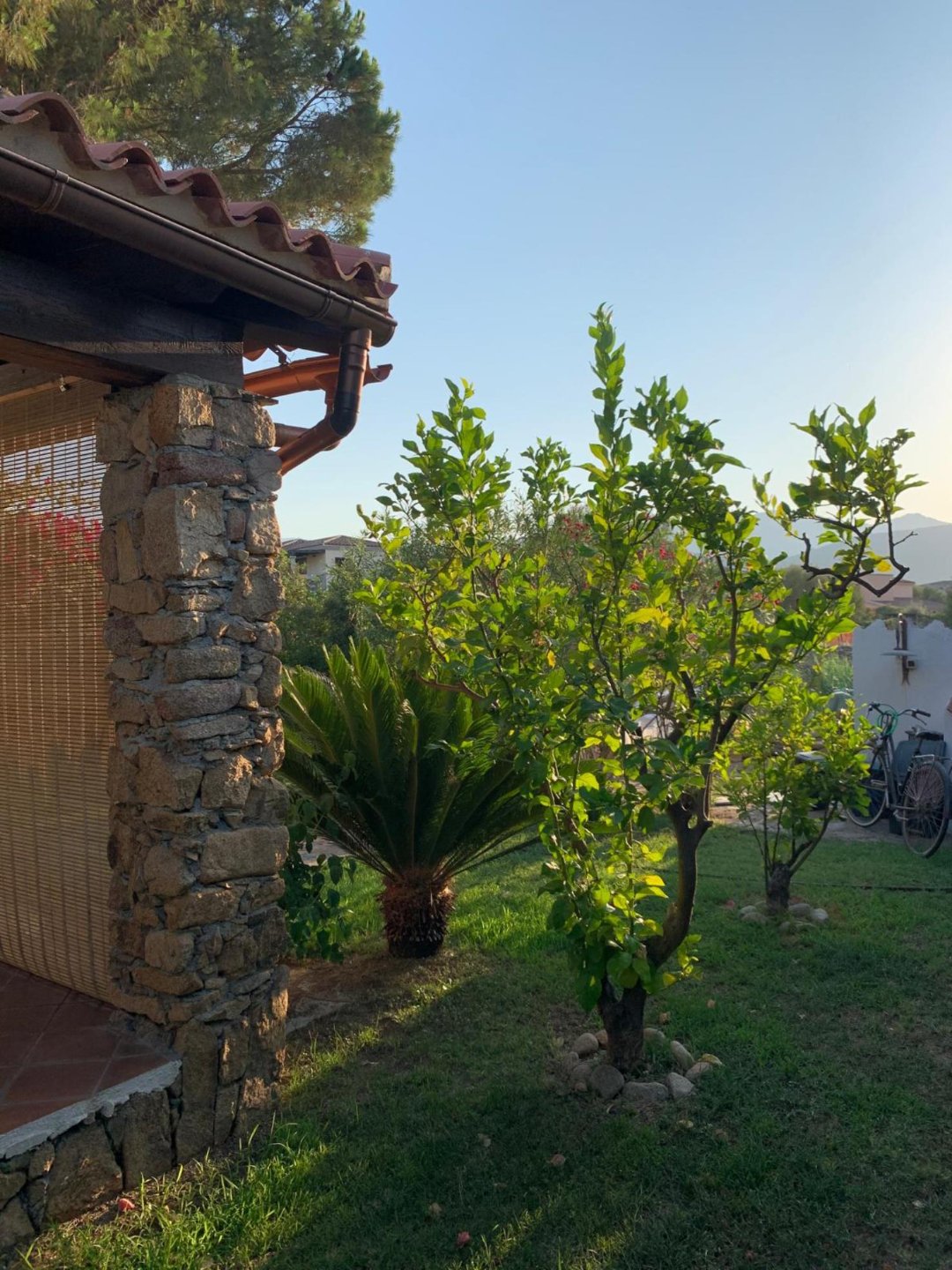 Villa a san teodoro in Vacanza con giardino 3