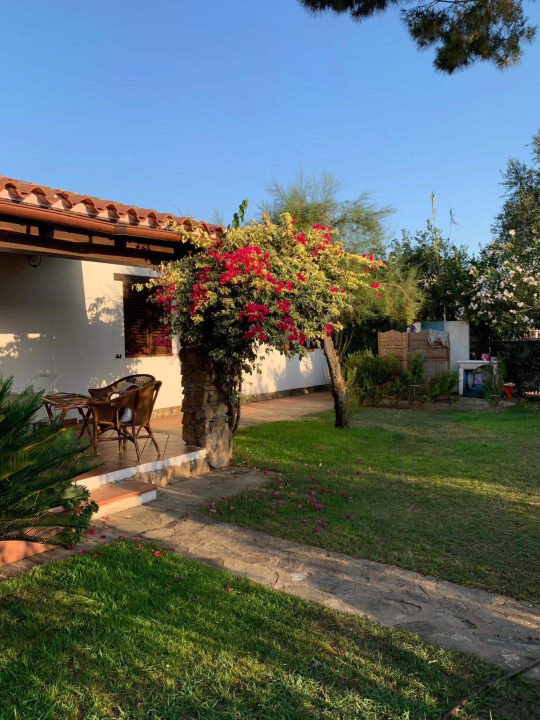 Villa a san teodoro in Vacanza con giardino 6
