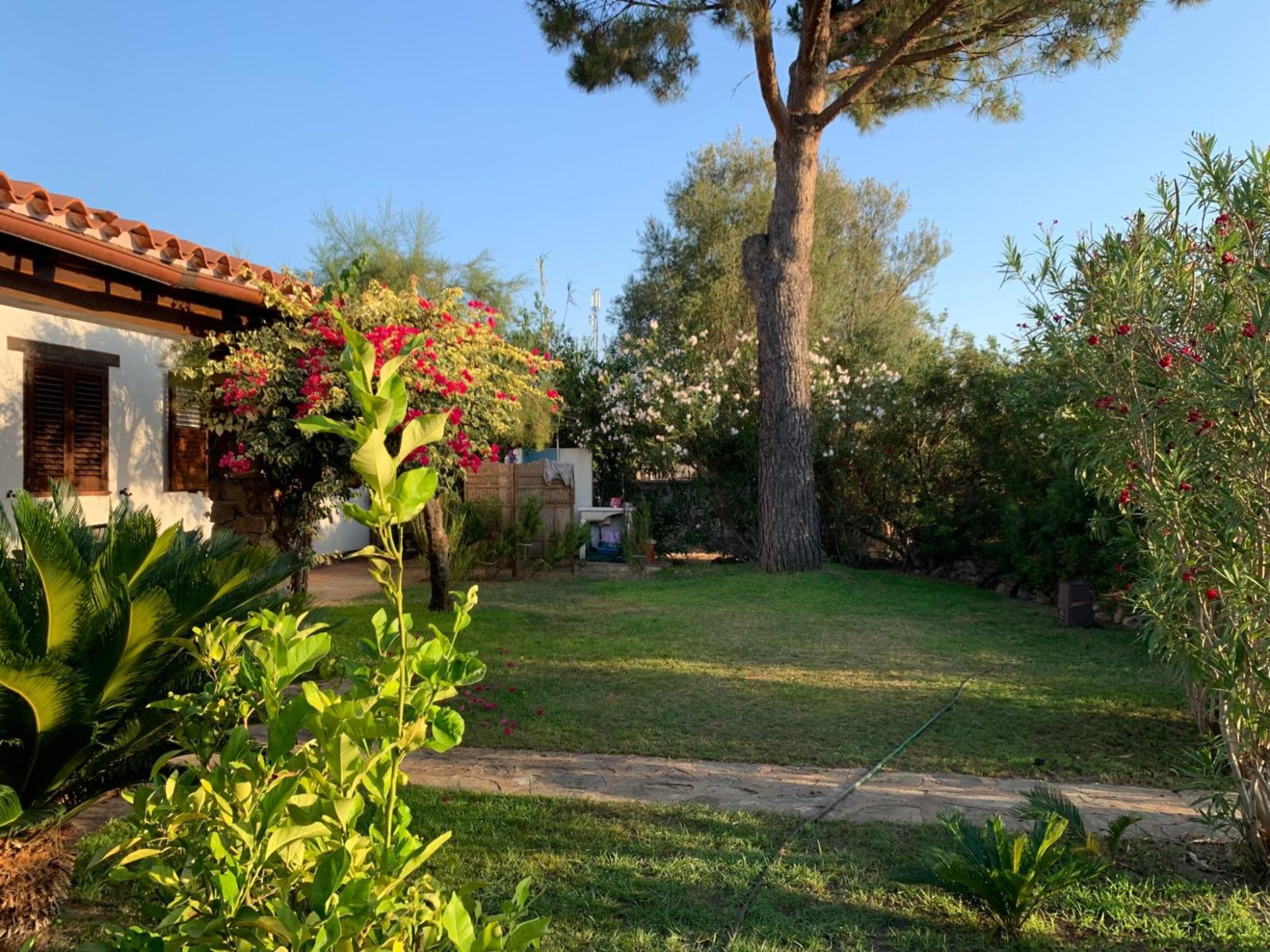 Villa a san teodoro in Vacanza con giardino 7