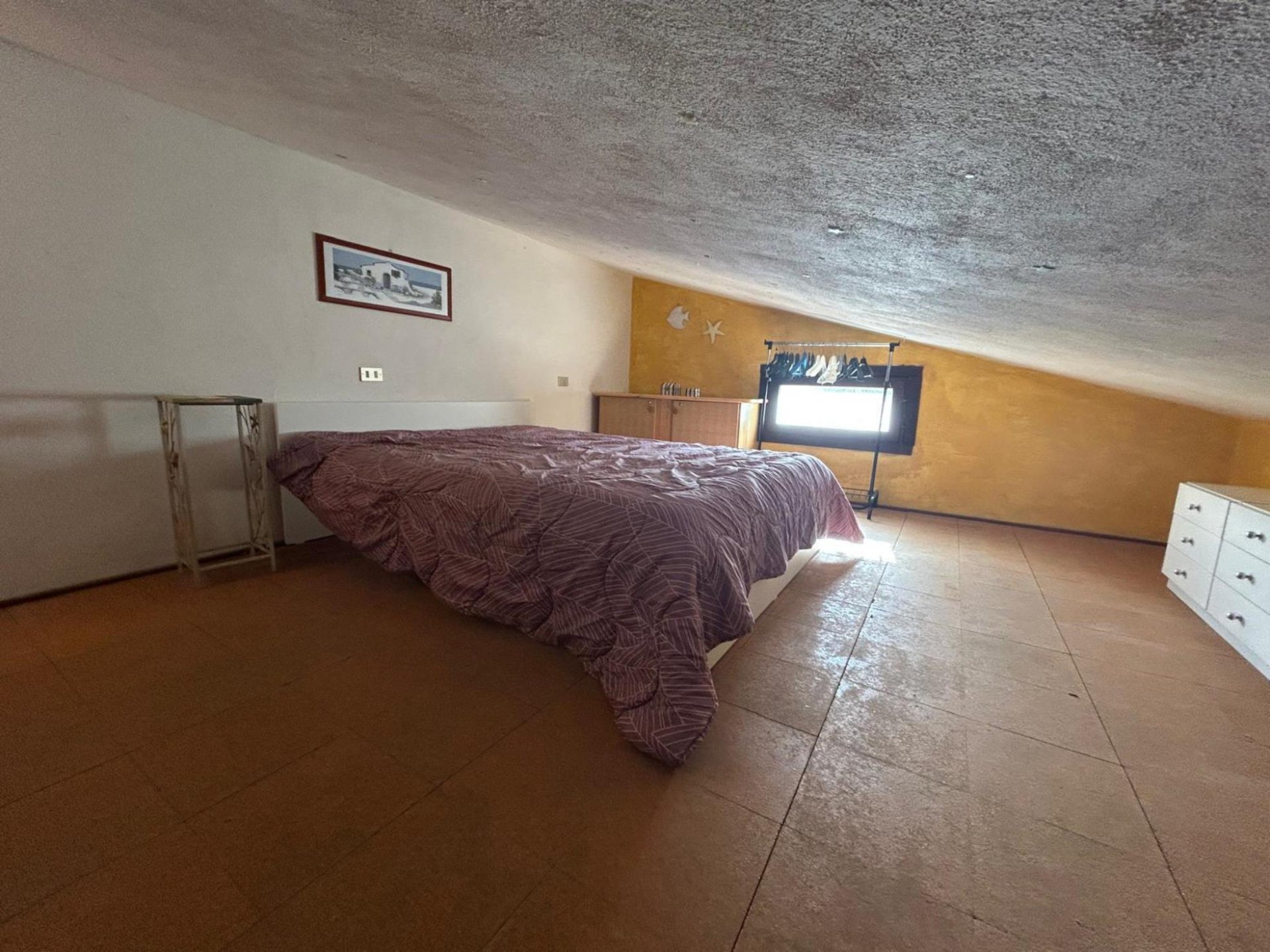 Villa a san teodoro in Vacanza con giardino 19
