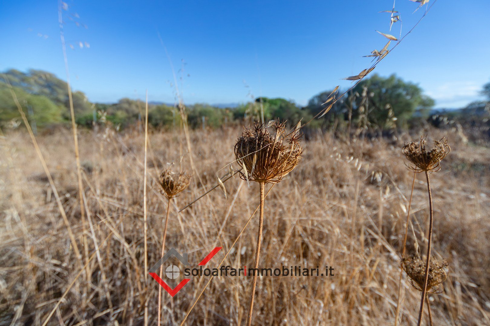 Terreno Agricolo Località Sa Istrana 20