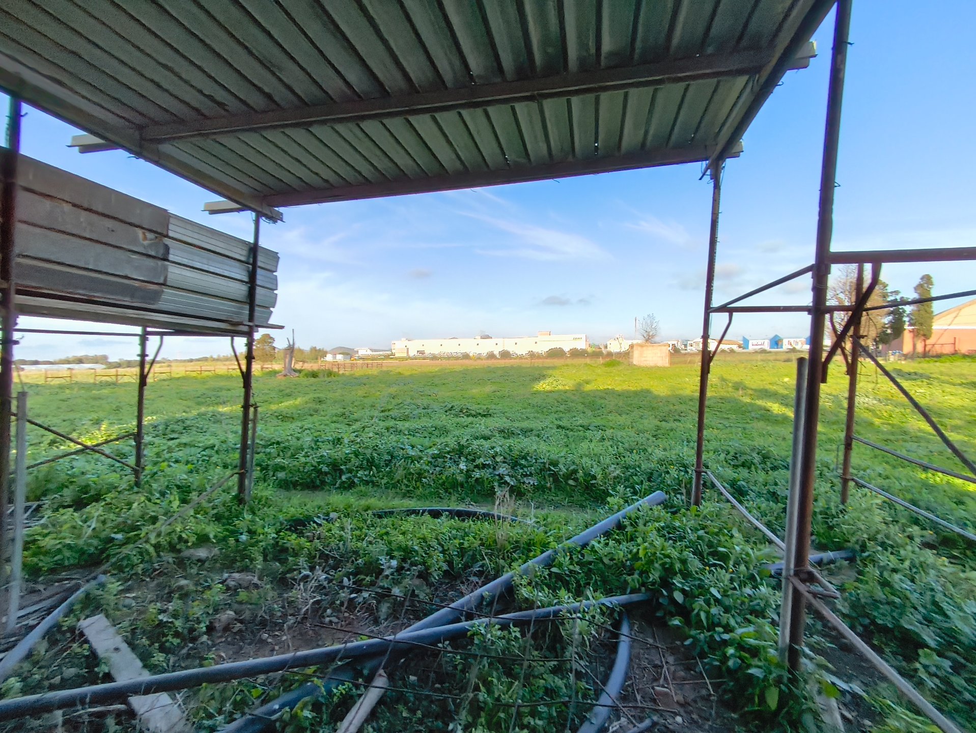 Terreno a san sperate in Vendita 15