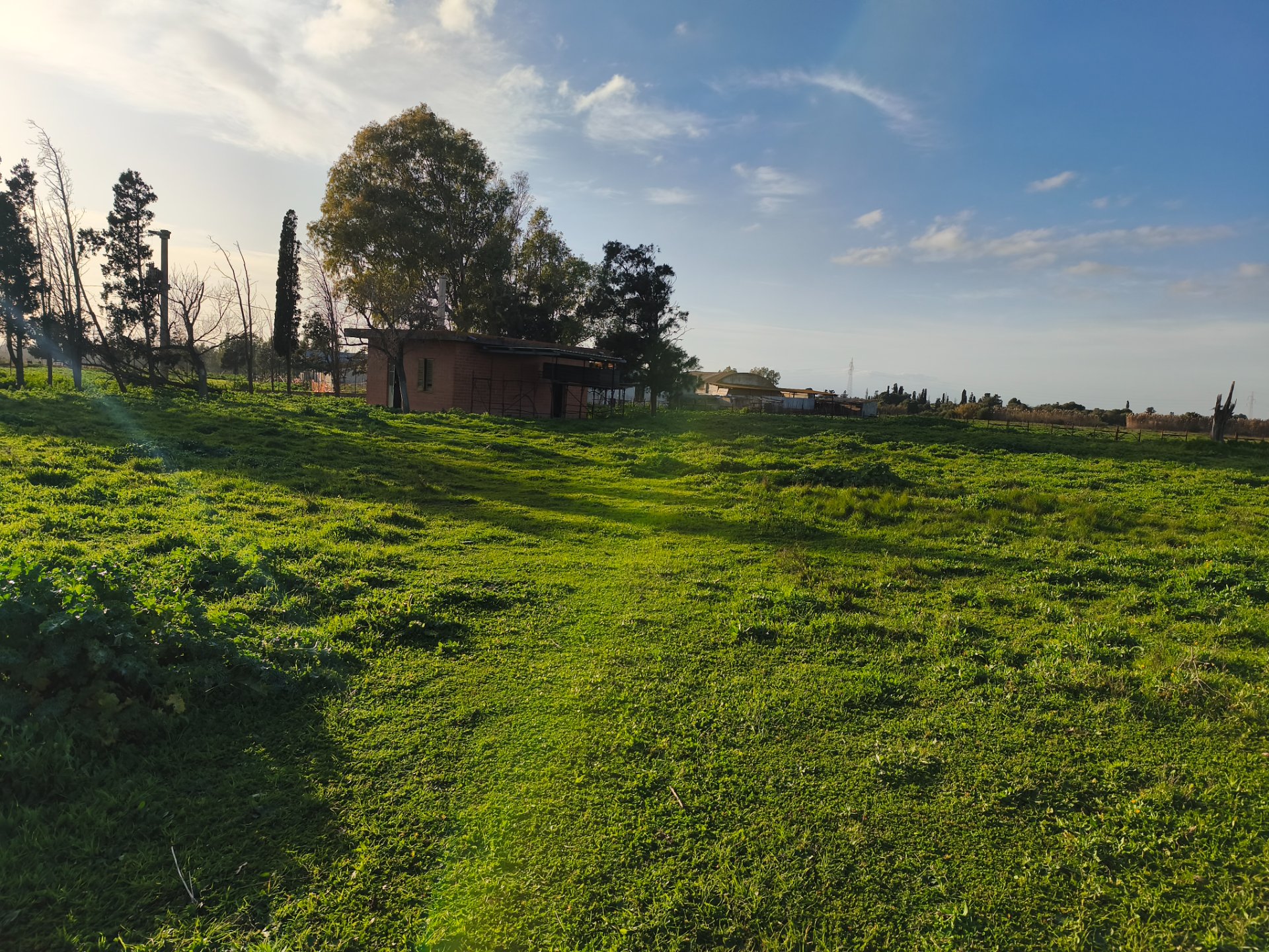 Terreno a san sperate in Vendita 22
