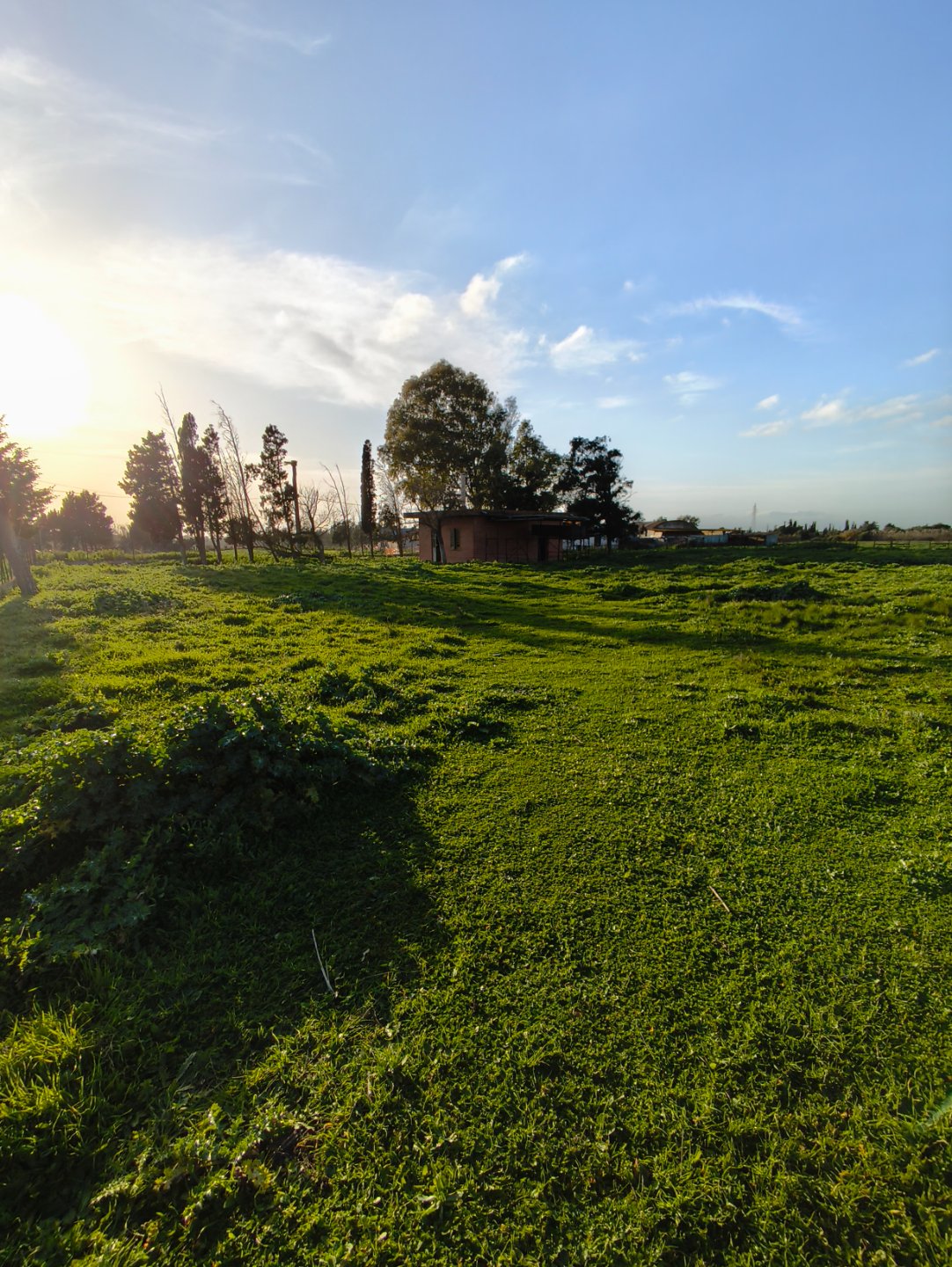 Terreno a san sperate in Vendita 24