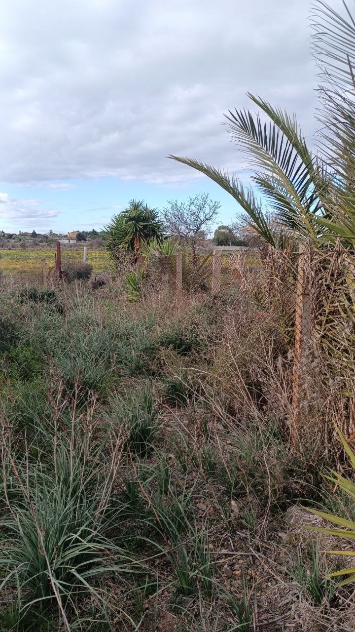 Terreno a quartu sant'elena in Vendita 5