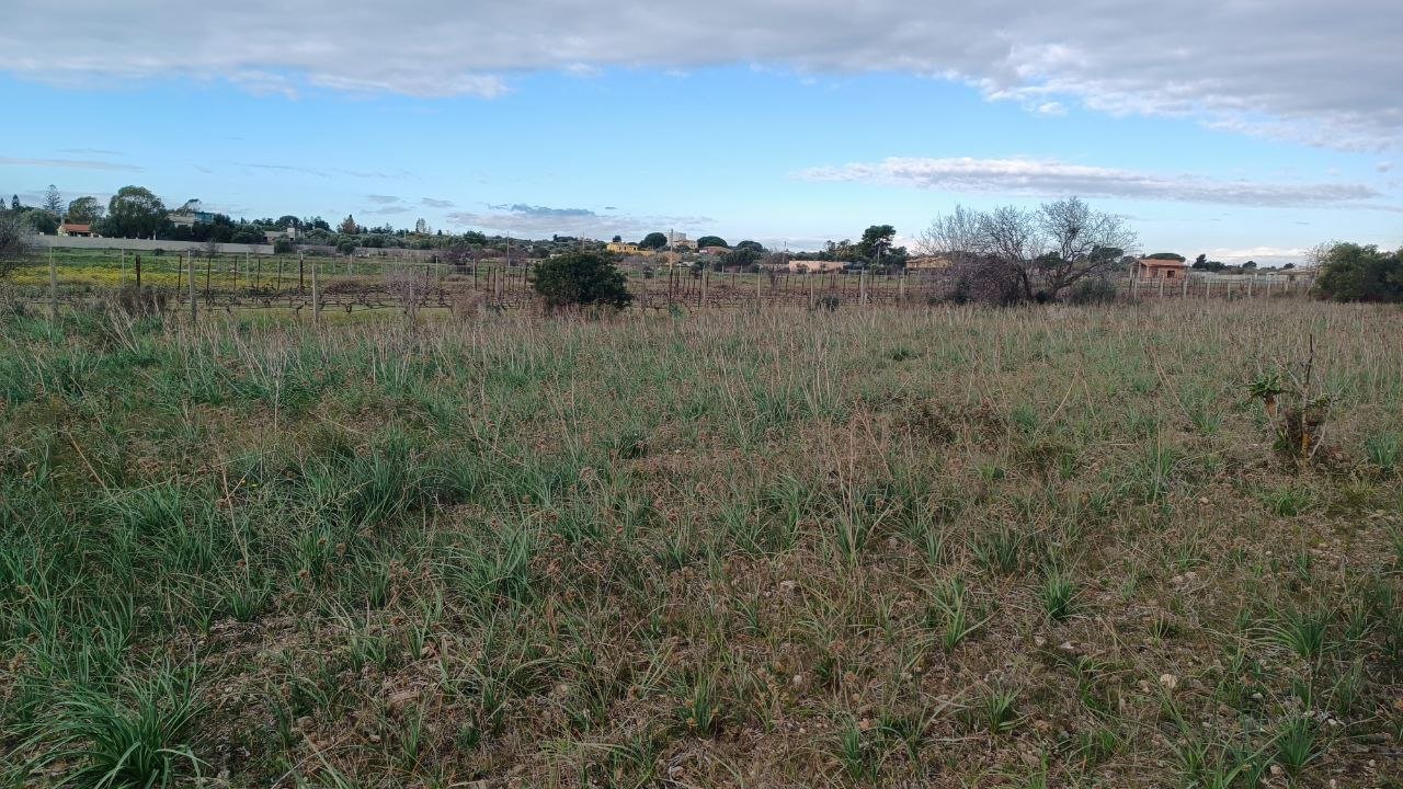 Terreno a quartu sant'elena in Vendita 9