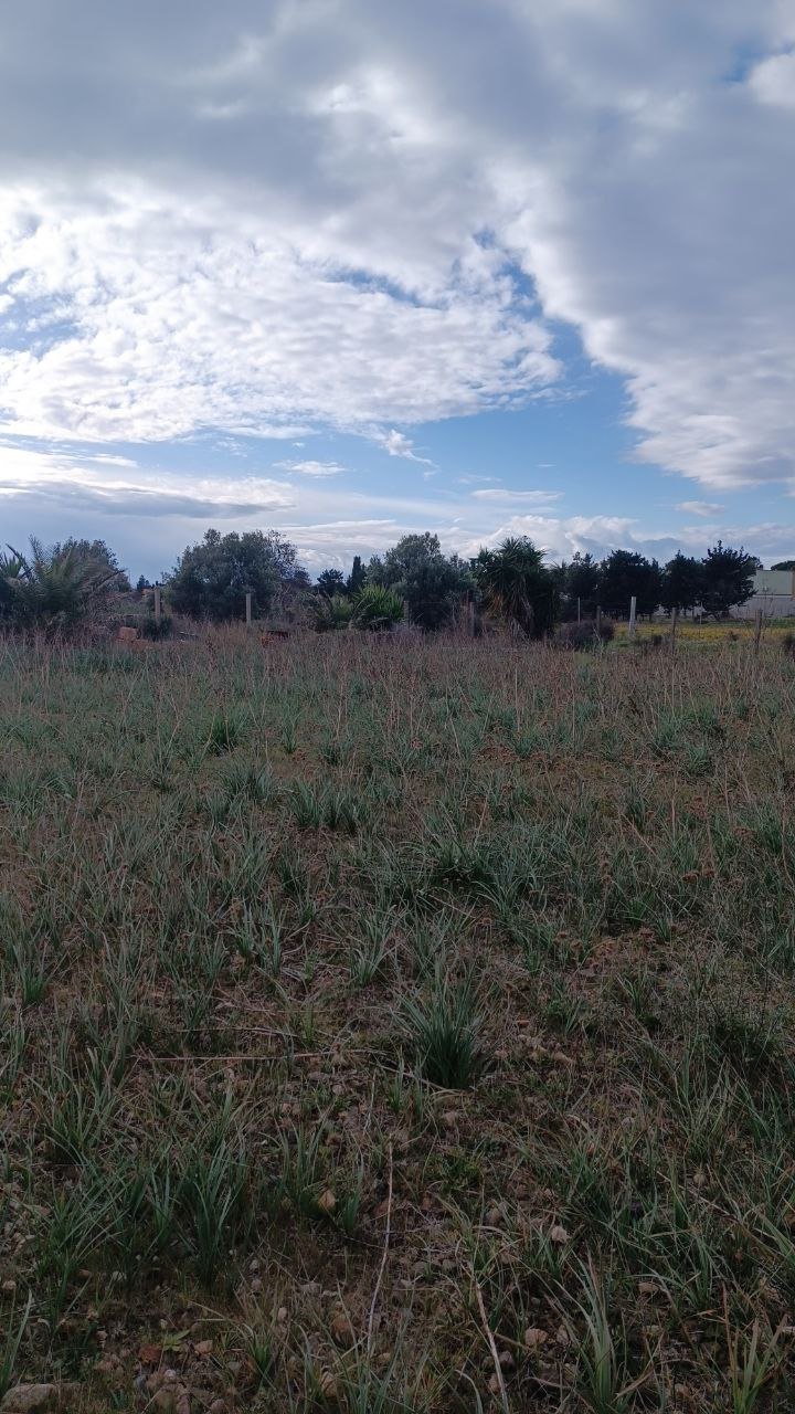 Terreno a quartu sant'elena in Vendita 10