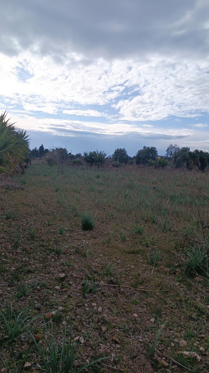 Terreno a quartu sant'elena in Vendita 11