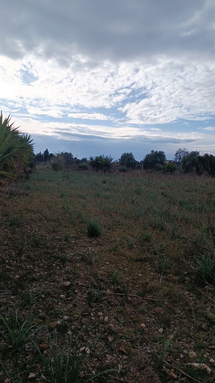 Terreno a quartu sant'elena in Vendita 12