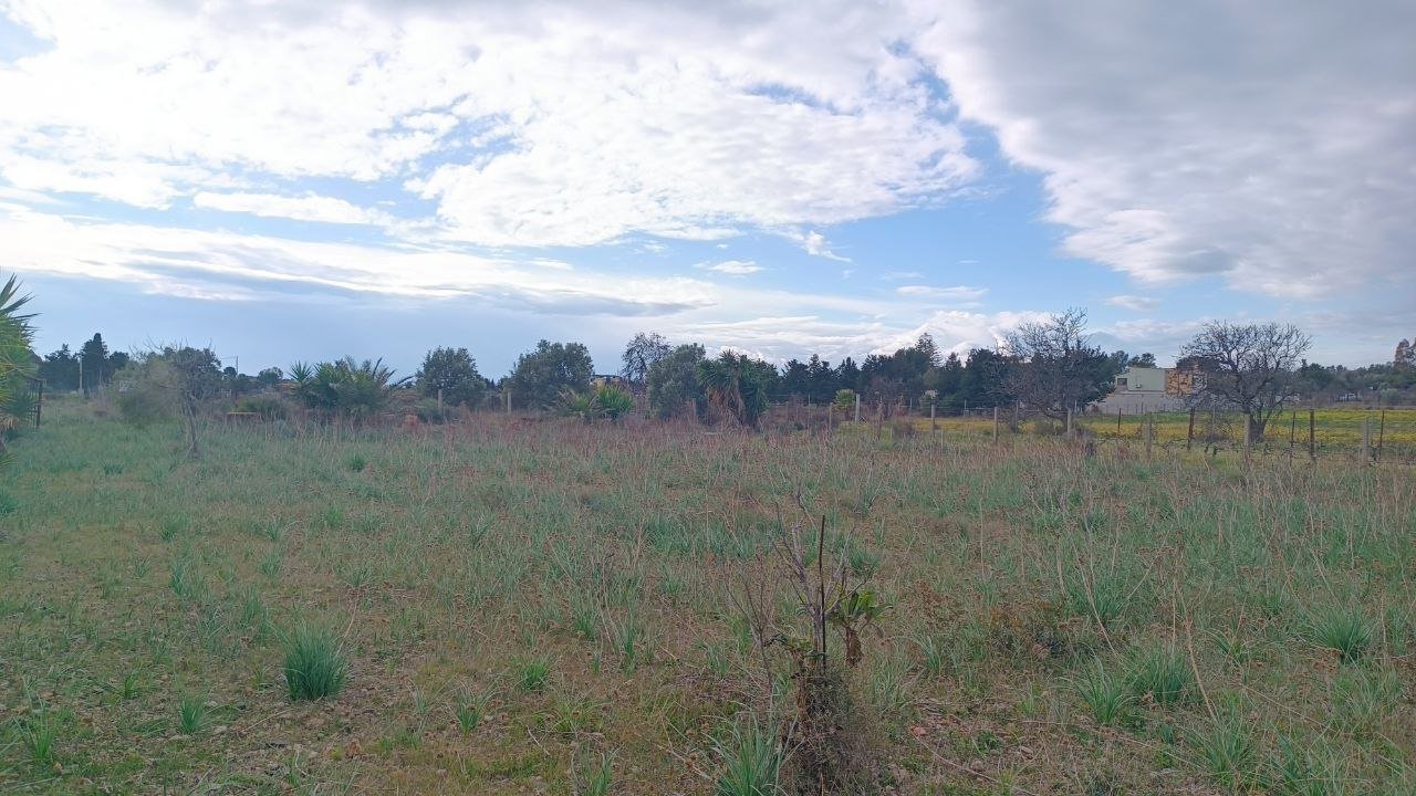 Terreno a quartu sant'elena in Vendita 13