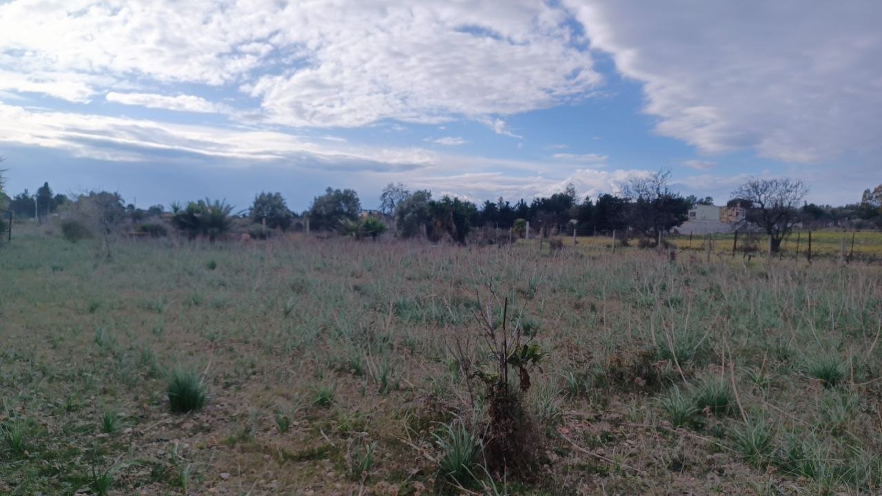 Terreno a quartu sant'elena in Vendita 14