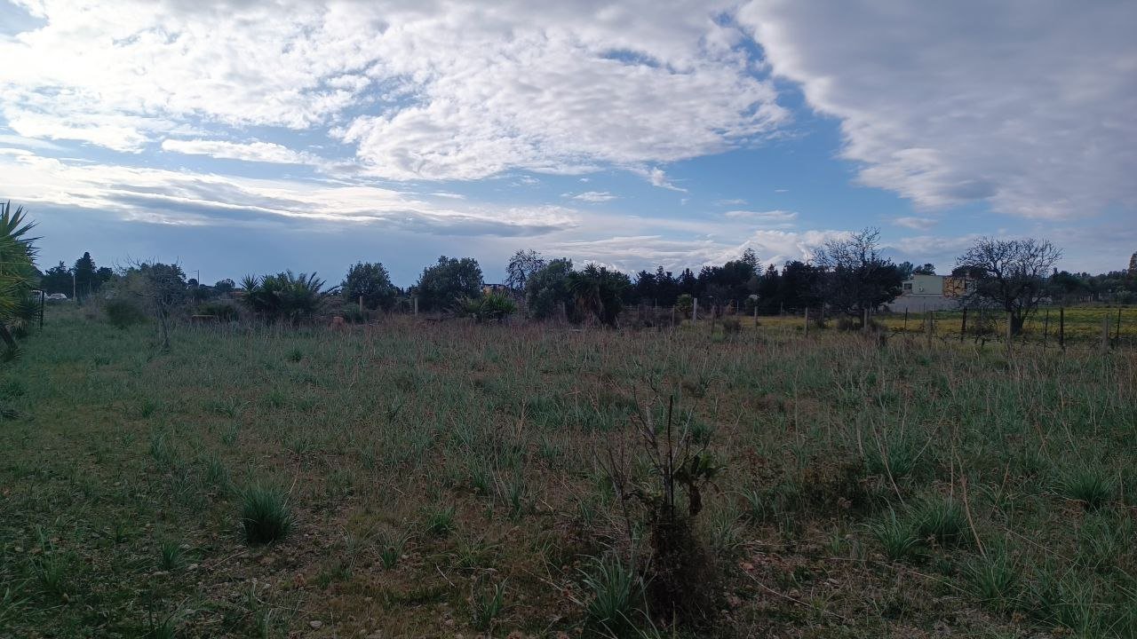 Terreno a quartu sant'elena in Vendita 15