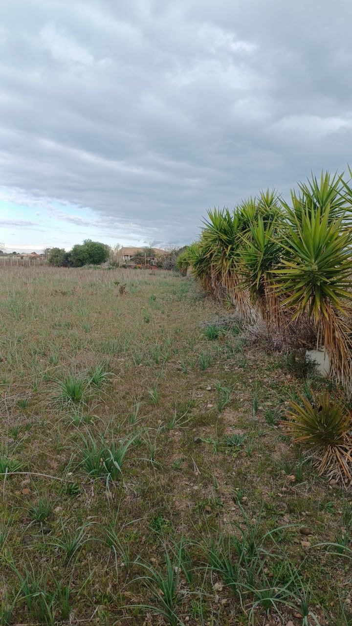 Terreno a quartu sant'elena in Vendita 19