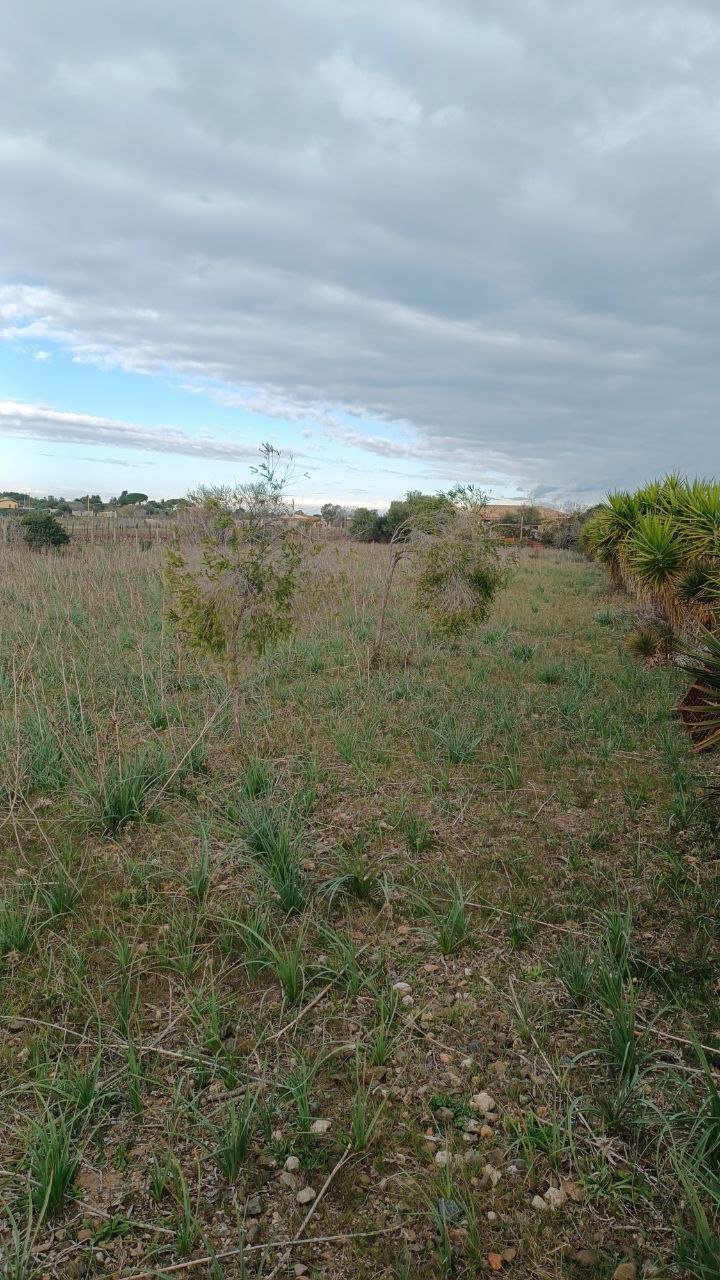 Terreno a quartu sant'elena in Vendita 20