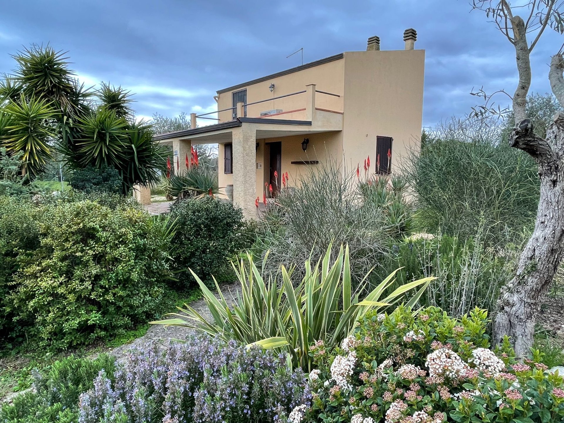 Villa a Alghero in Vendita con piscina