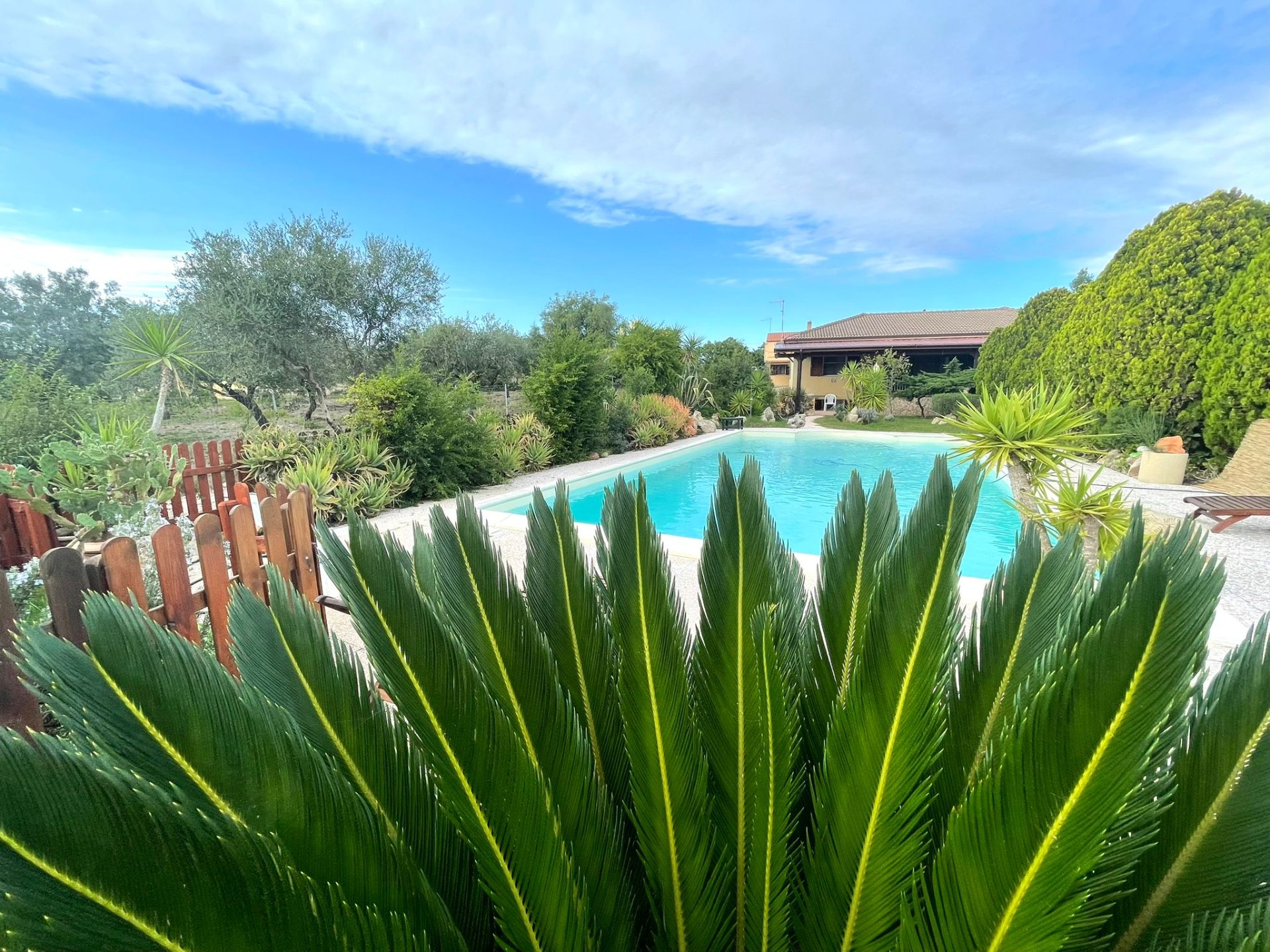 Villa a Alghero in Vendita con piscina 9