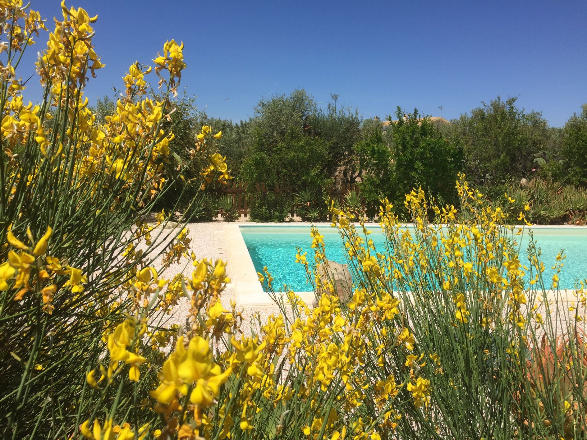 Villa a Alghero in Vendita con piscina 10