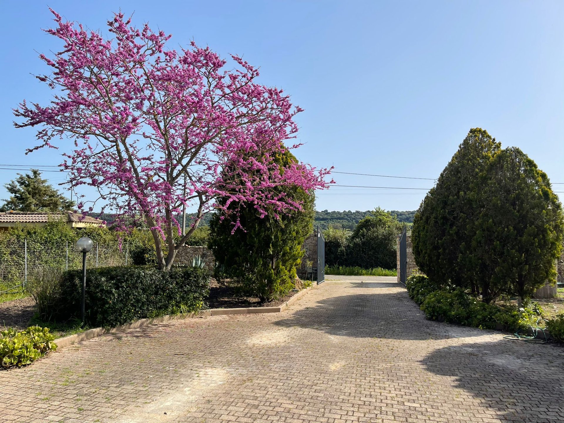 Villa a Alghero in Vendita con piscina 14