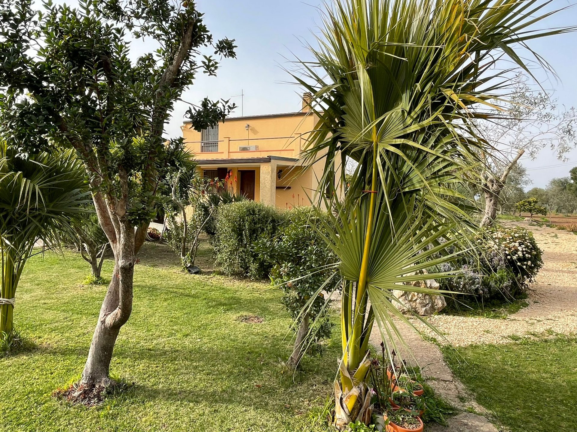 Villa a Alghero in Vendita con piscina 15