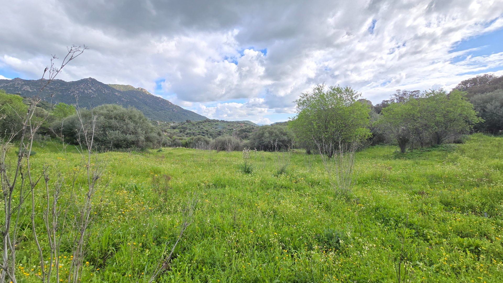 Terreno agricolo Località Badde manna