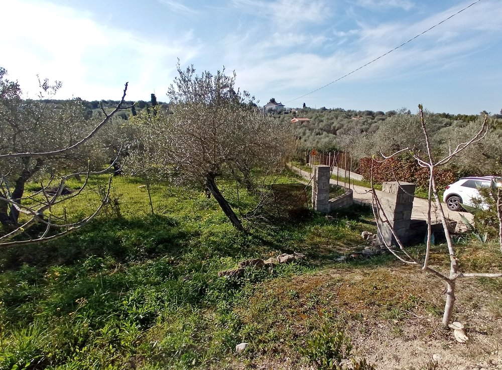 Terreno piantumato a pochi km da Sassari