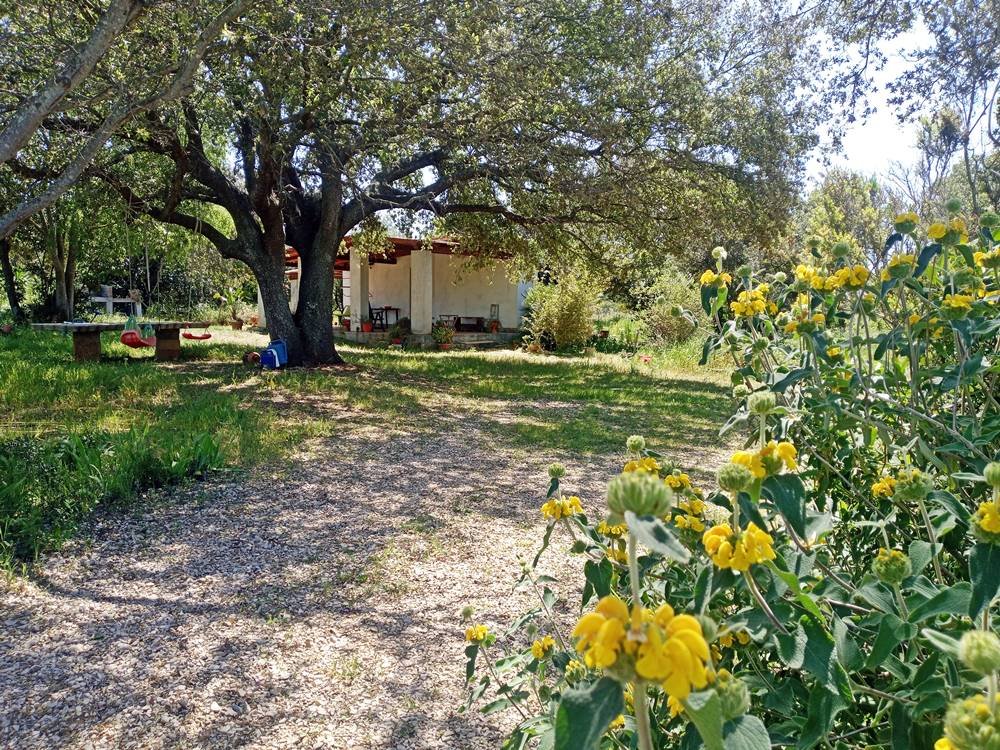 Casa a Sassari in Vendita con giardino 3