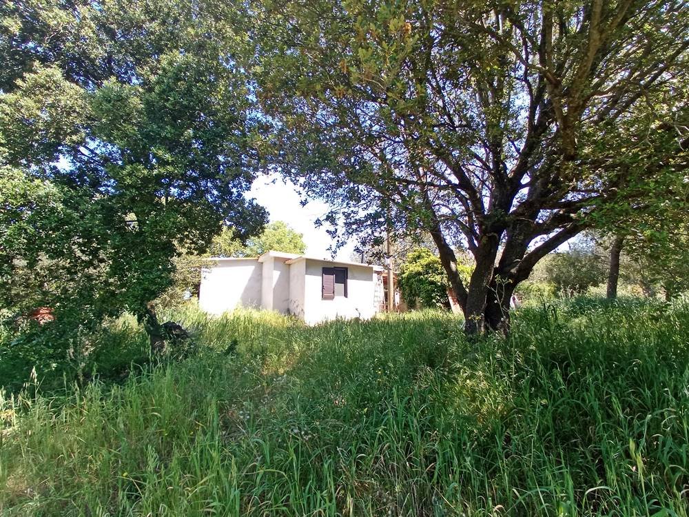Casa a Sassari in Vendita con giardino 19