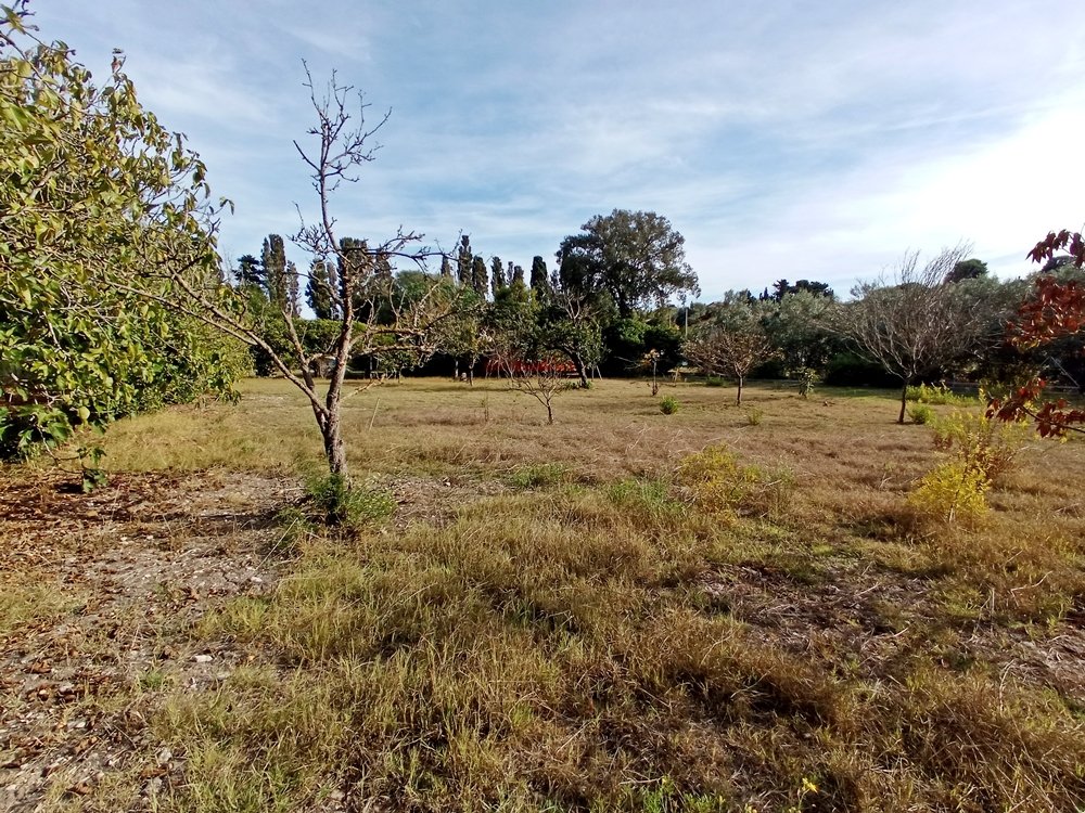 Terreno a sassari in Vendita con giardino 10