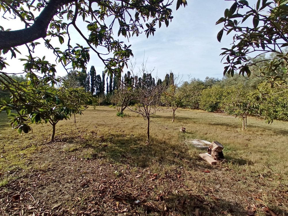 Terreno a sassari in Vendita con giardino 11