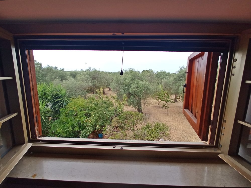 Villa a Sassari in Vendita con giardino 19