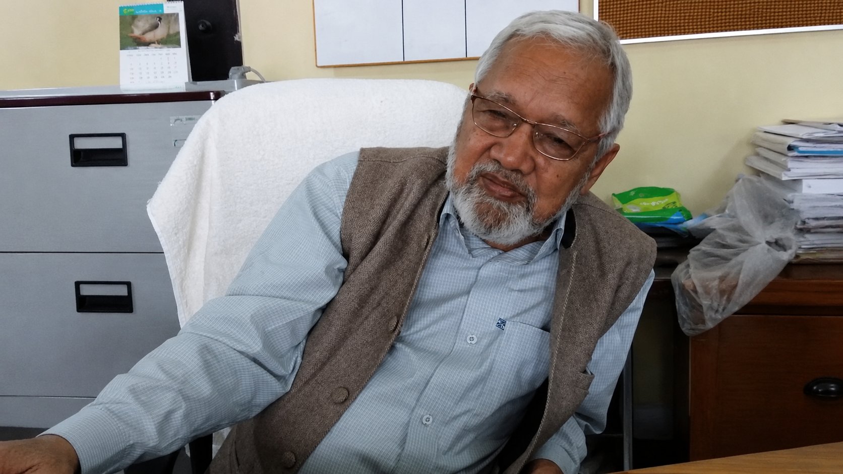 Professor Anees Sadri
