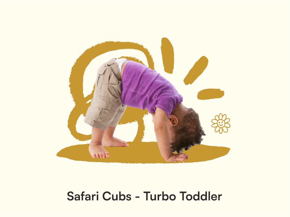 Safari Cubs - Turbo Toddler