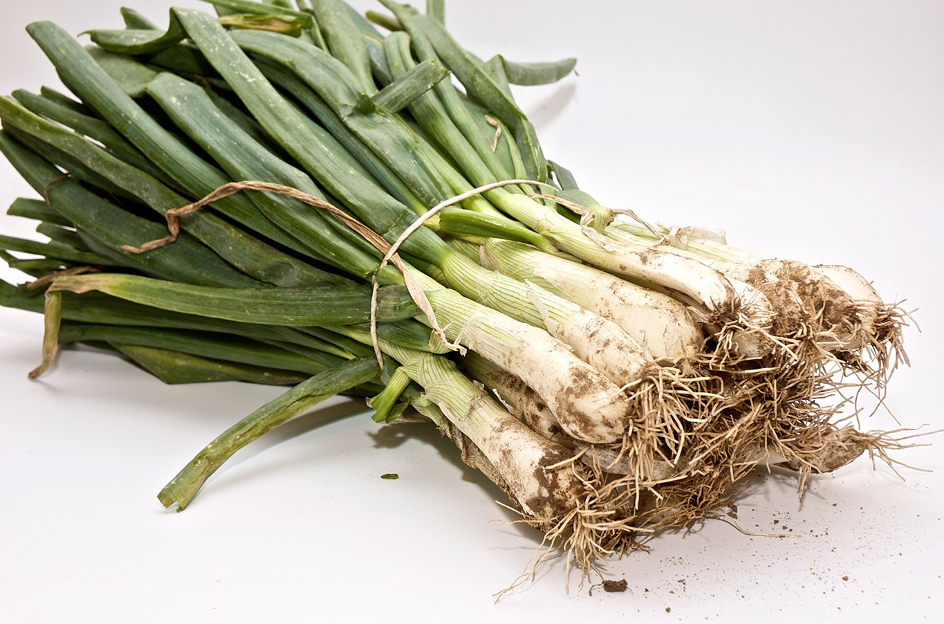 Calçots (12ut)