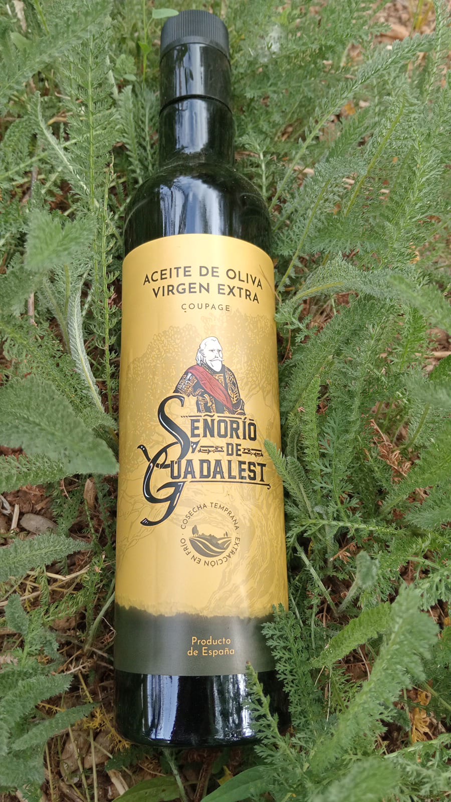 Oli Señorio de Guadalest 500ml (convencional)
