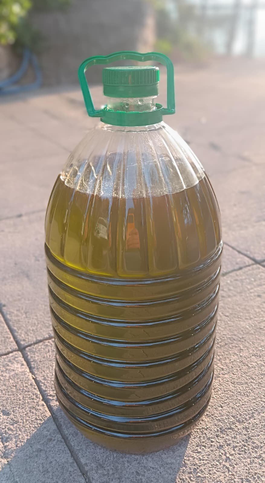 Oli olive verge extra. Verd 5L