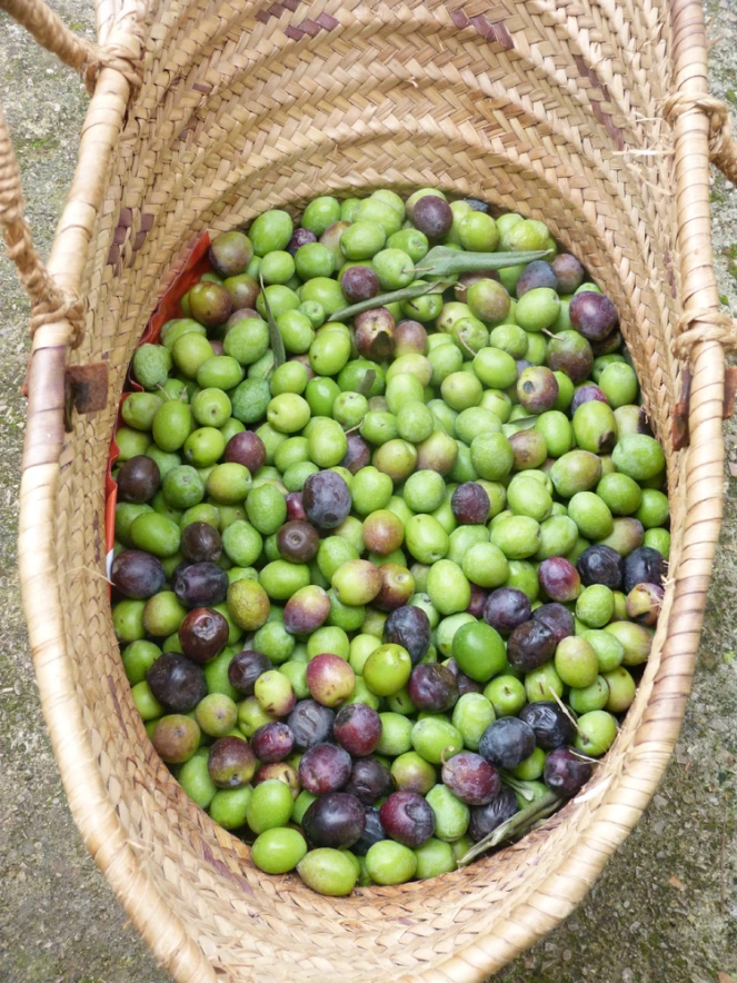 Olives verdes