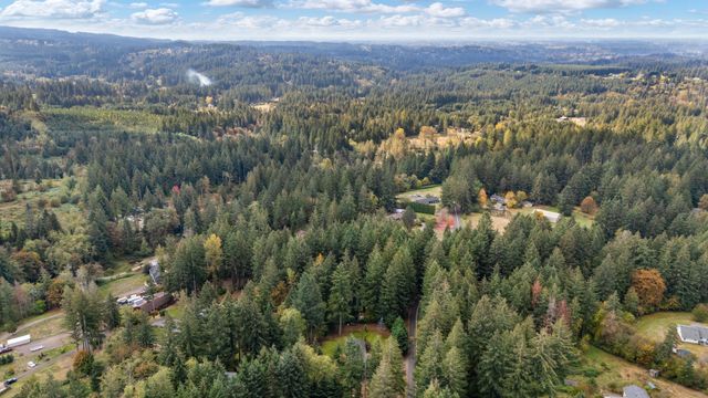 DJI_20241014114343_0338_D_DJI