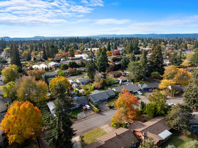 DJI_0210