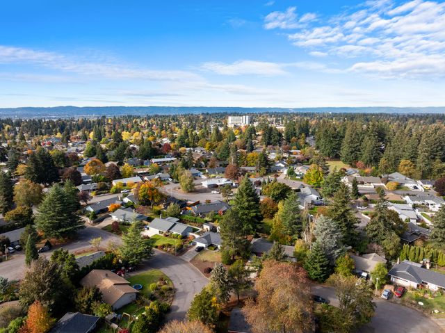 DJI_0219