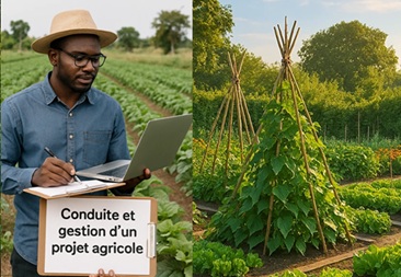 Illustration pour Conduite et Gestion d'une Exploitation Agricole