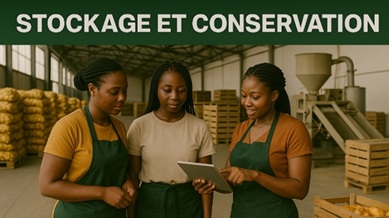 Illustration pour Stockage et Conservation