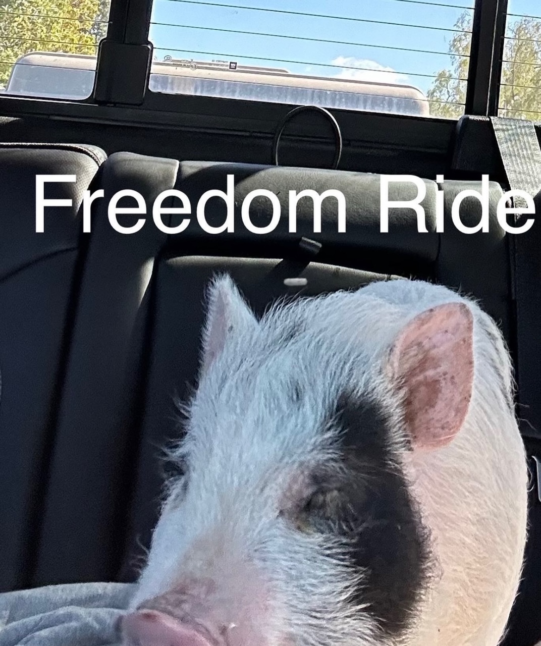 Freedom Ride!