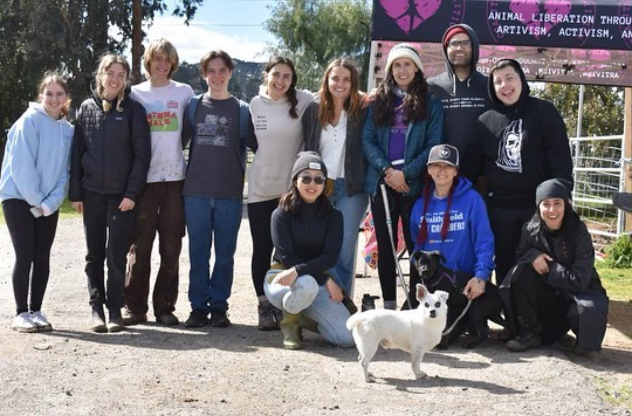Volunteer Day