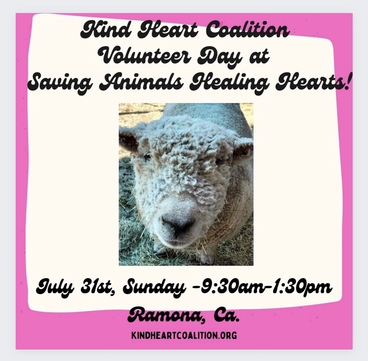 Kind Heart Coalition Volunteer Event