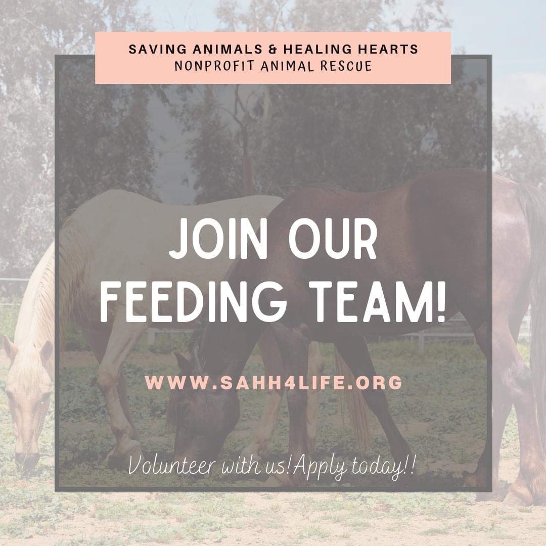 Join Our Feeding Team!